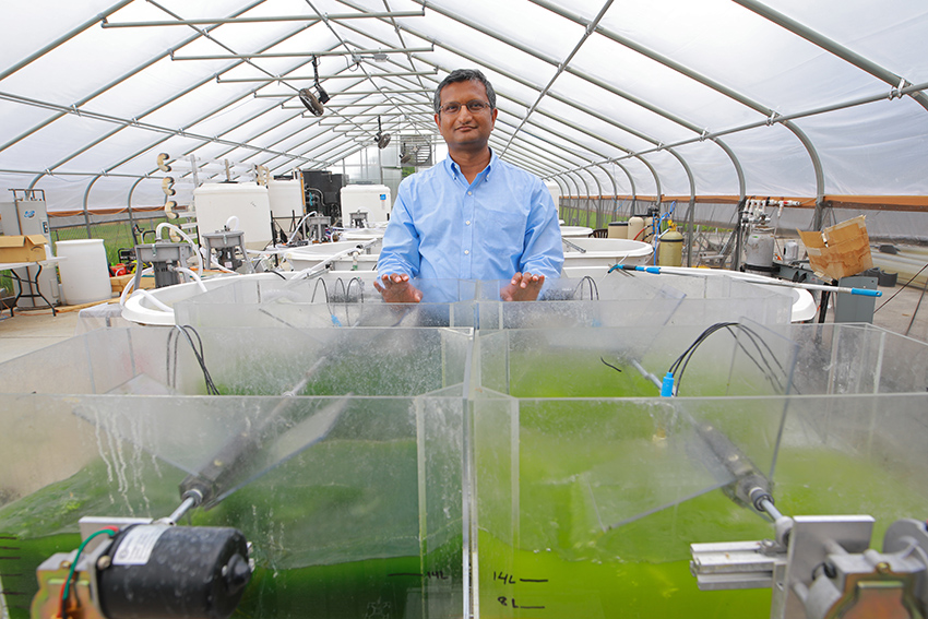 Sridhar Viamajala, Ph.D. standing in a greenhouse